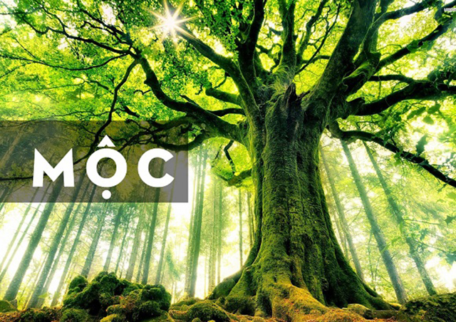 Tổng hợp 20+ mệnh mộc đeo đá ruby được không hot nhất 10 Người mệnh Mộc đeo đá Thạch Anh màu gì may mắn, hút tài lộc