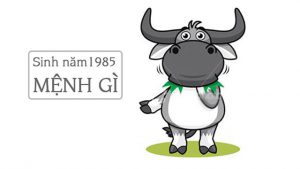 Sinh năm 1985 đeo đá màu gì hợp phong thuỷ hút tài lộc nhất
