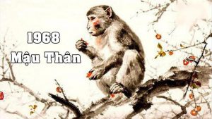 Người sinh năm 1968 hợp đá màu gì Nên đeo loại nào
