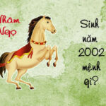 Tuổi Nhâm Ngọ sinh năm 2002 mệnh gì? Hướng nào tốt?