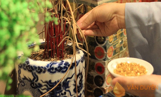 Tỉa chân nhang (Rút chân hương)